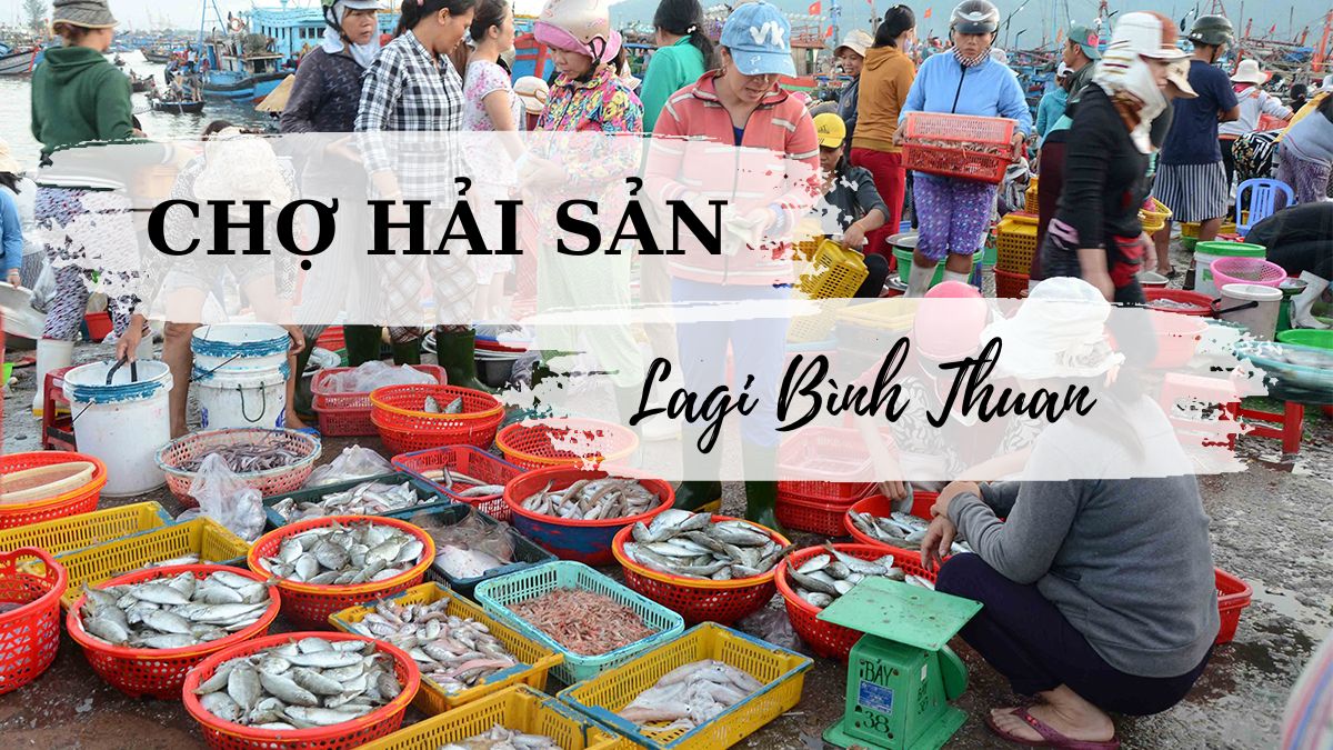 Điểm mua hải sản tươi ngon tại Lagi Bình Thuận bạn đã biết chưa?