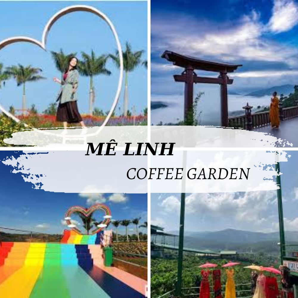 Mê Linh Coffee Garden - điểm check in triệu view không thể bỏ lỡ khi tới Đà Lạt