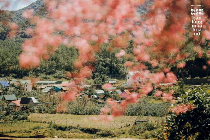 Làng K’Long K’Lanh - long lanh dưới làn sương Lâm Đồng