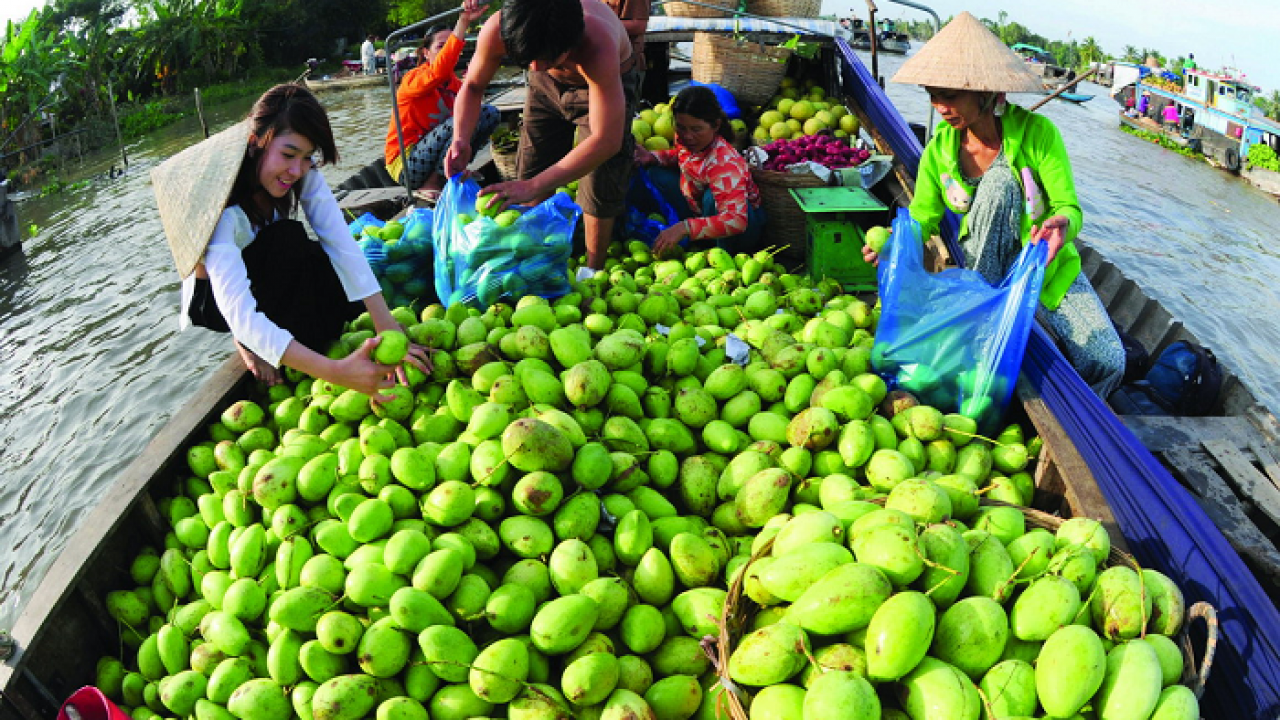 Du lịch Miền Tây nên mua Đặc sản gì làm quà?