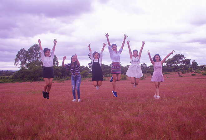 Đồi cỏ hồng ở Gia Lai địa điểm check-in thú vị