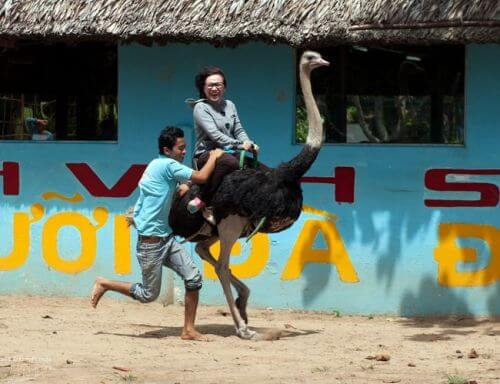 Cẩm nang du lịch miệt vườn Vĩnh Long