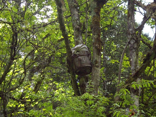 Phong tục mai táng trên cây của người Tây Tạng