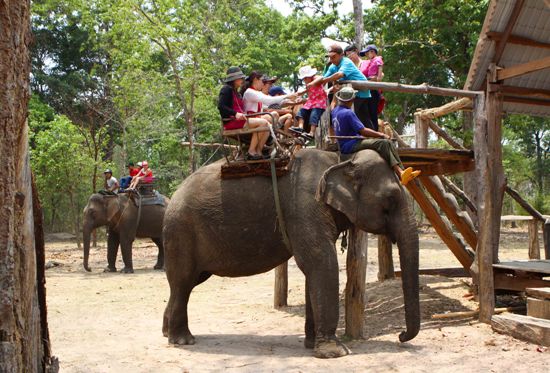 Trải nghiệm du lịch Đắk Lắk cùng tháng 3