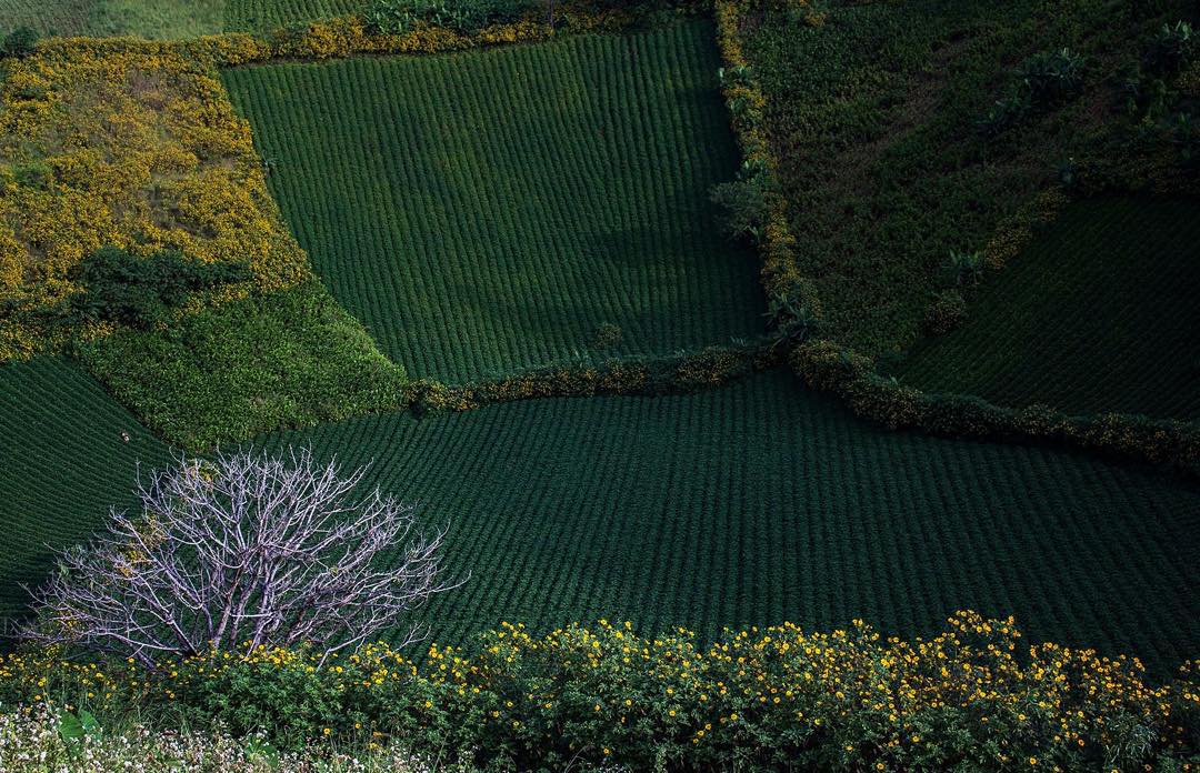 Vẻ đẹp của Chư Đăng Ya trong mắt thiếu nữ Sài Gòn