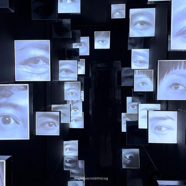 Triển lãm Hoa Mắt sẽ được tổ chức tại 240B Pasteur