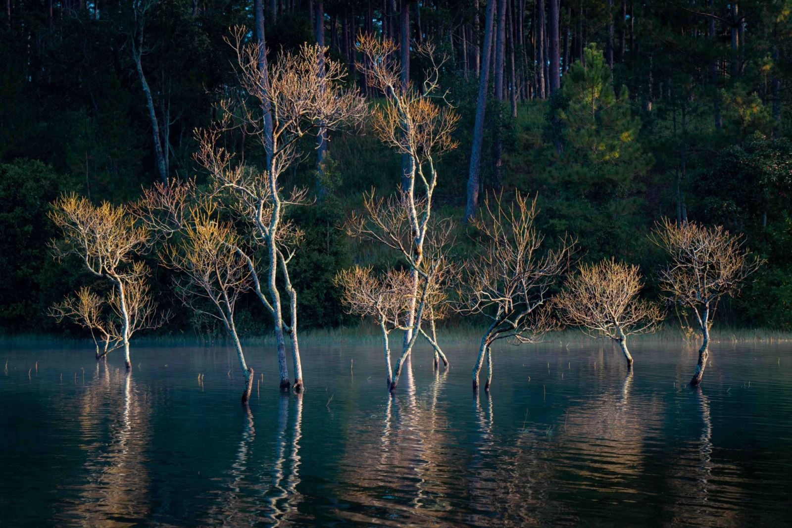 Suối Tía - cõi thiên thai giữa lòng Đà Lạt