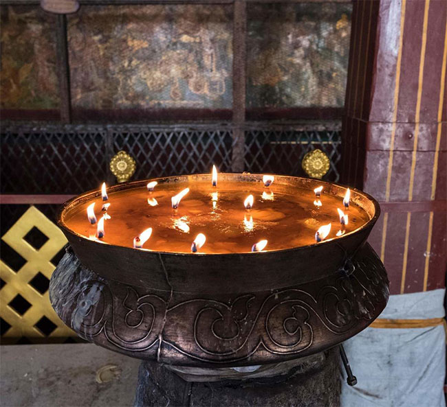 Bò Tây Tạng được xem là con vật quan trọng tron Văn hóa Tây Tạng