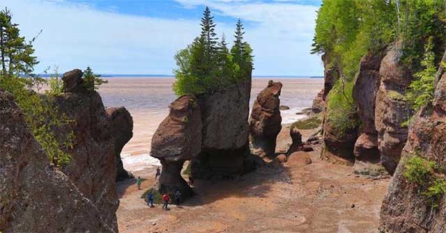 Du lịch New Brunswick: Ngắm nhìn quái vật tiền sử