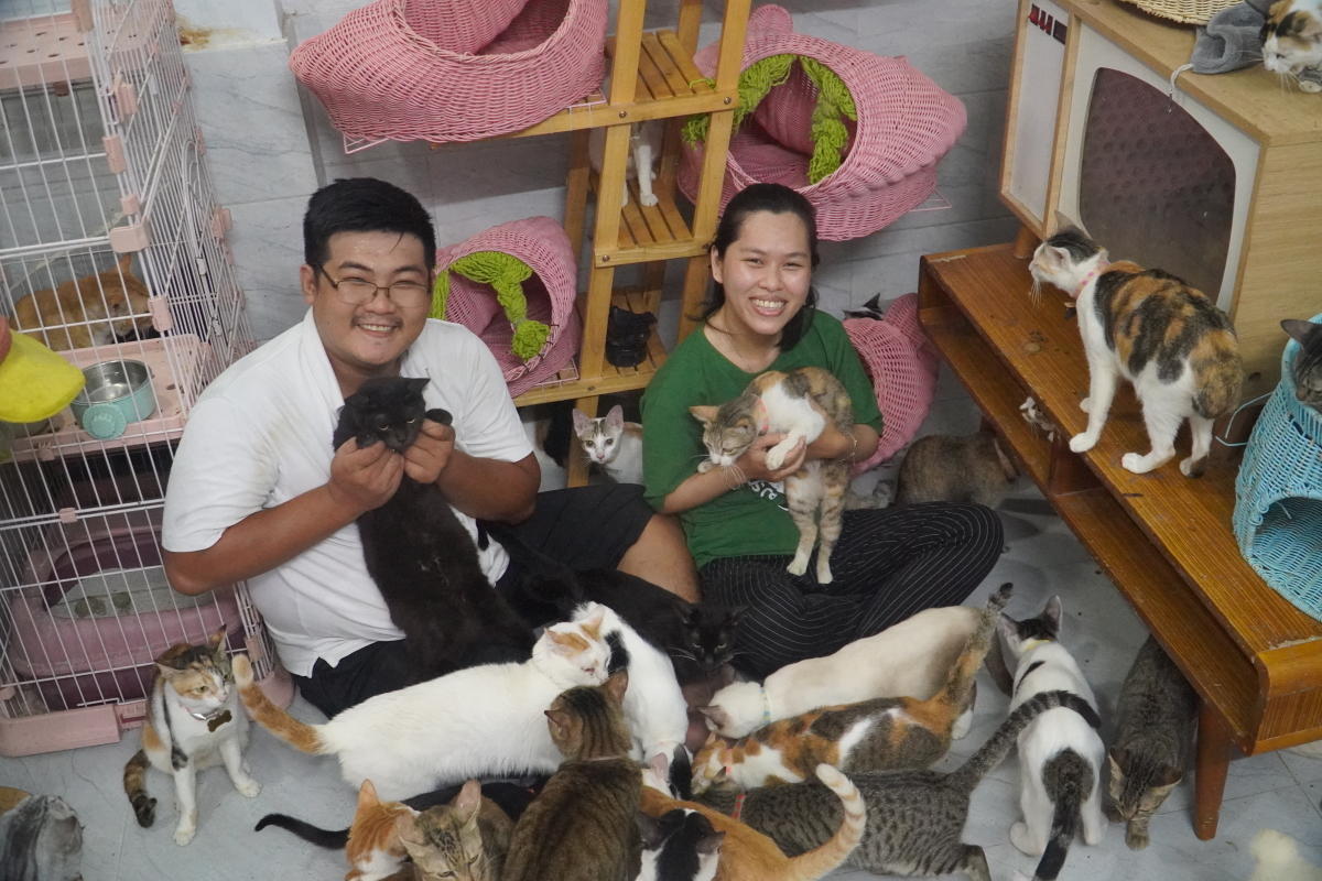 Hủy đám cưới lấy tiền xây nhà cho mèo hoang