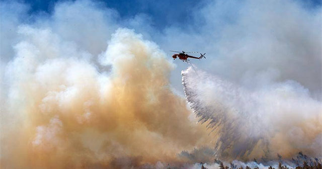 Khói cháy rừng có thể làm tăng 18% nguy cơ mắc chứng mất trí