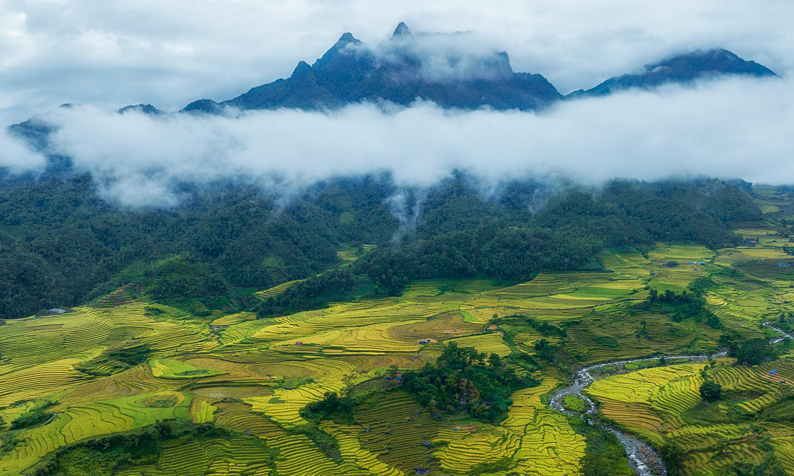Mùa lúa chín Lào Cai huyền ảo sau mưa