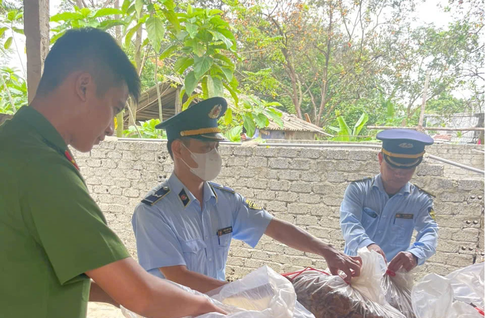 Nghệ An tiêu hủy 150 kg măng khô không rõ nguồn gốc