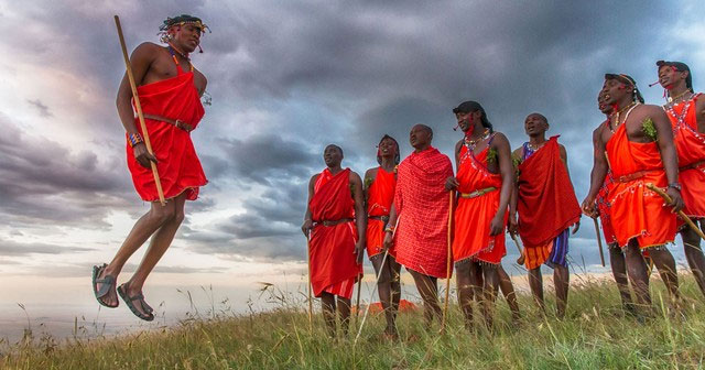 Sư tử thậm chí còn không sợ voi, vậy tại sao chúng lại sợ người Maasai?