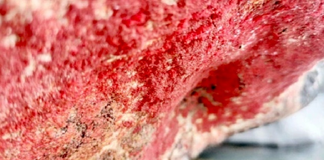 Tảng đá 'nở hoa' dân ùn ùn kéo đến chiêm ngưỡng