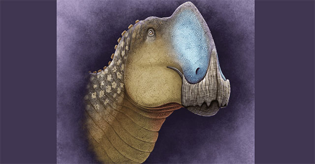 Tìm thấy quái thú dài 8m xuất hiện ở Mexico, là loài chưa từng biết