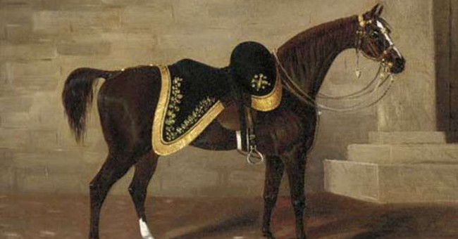 Top 6 chiến mã nổi tiếng được lịch sử ghi nhận