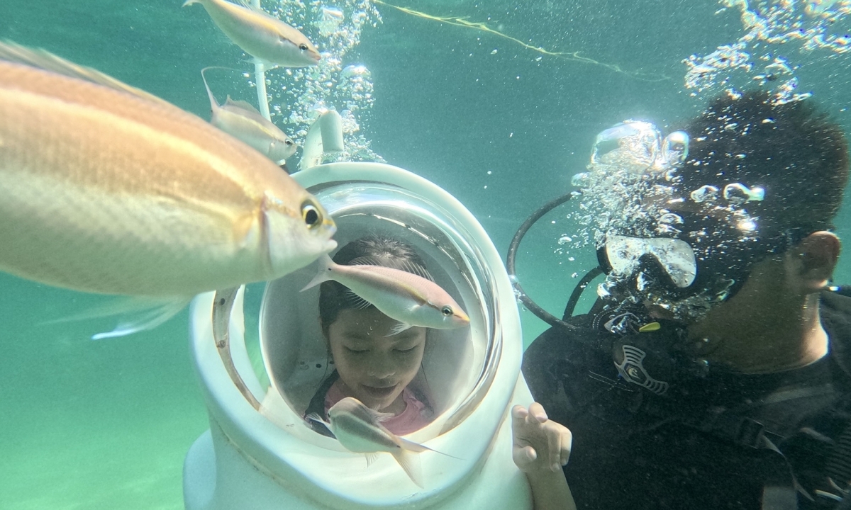 Tour lặn biển ngắm san hô ở Đảo Cô Tô