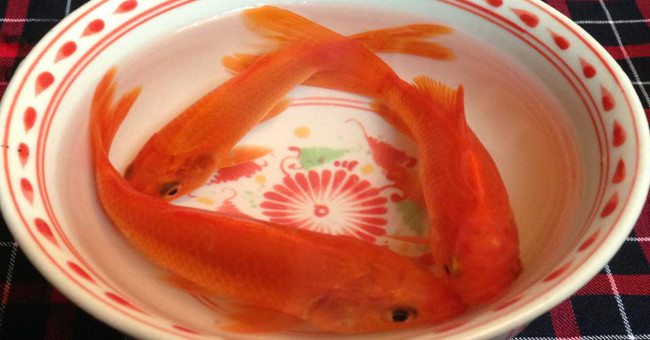 Vì sao cúng ông Công ông Táo lại chỉ thả cá chép?